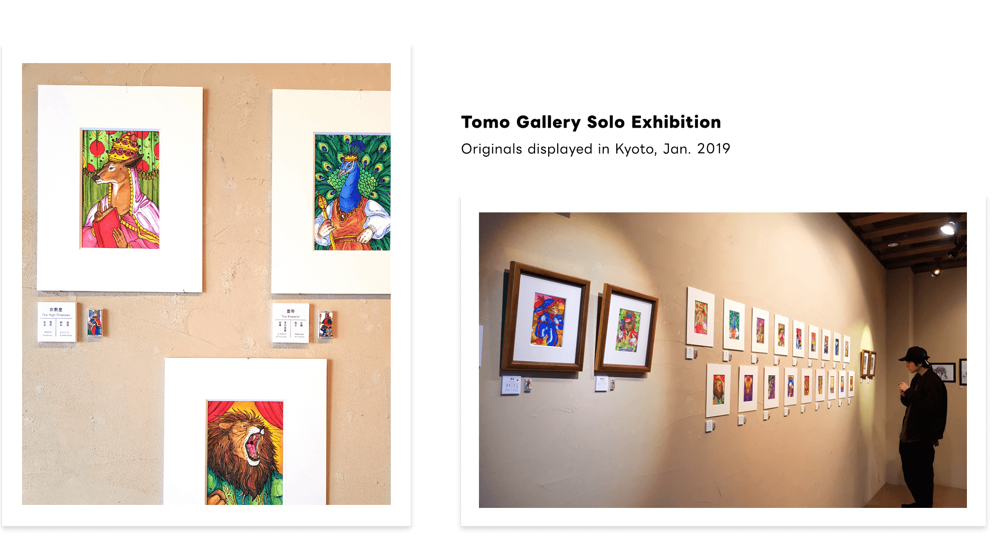 Major Arcana - Animaux Royaux Collection