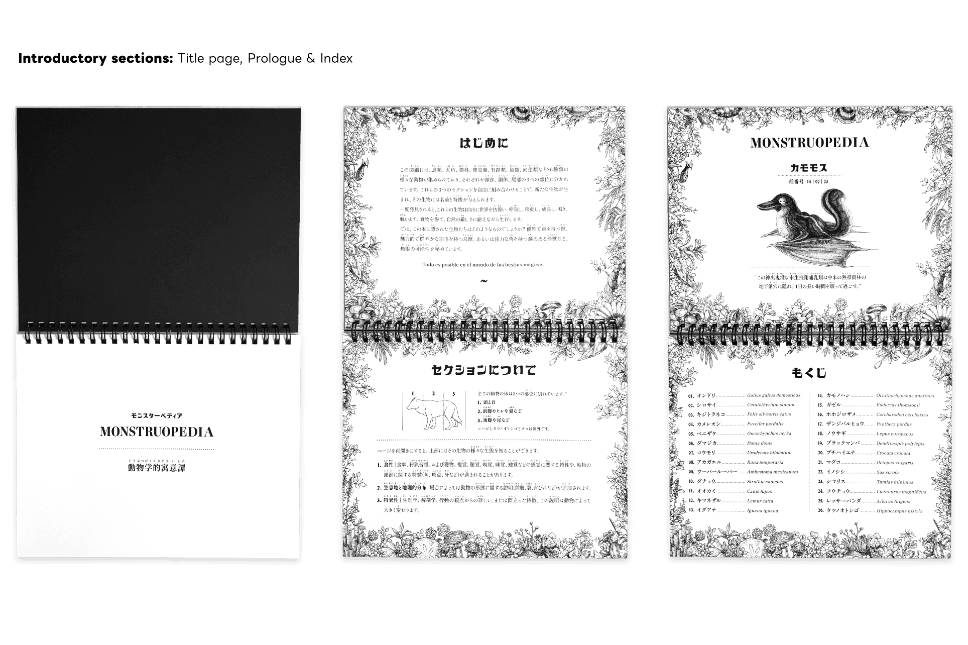 Monsterpedia Mix&Match Book - 2nd Edition