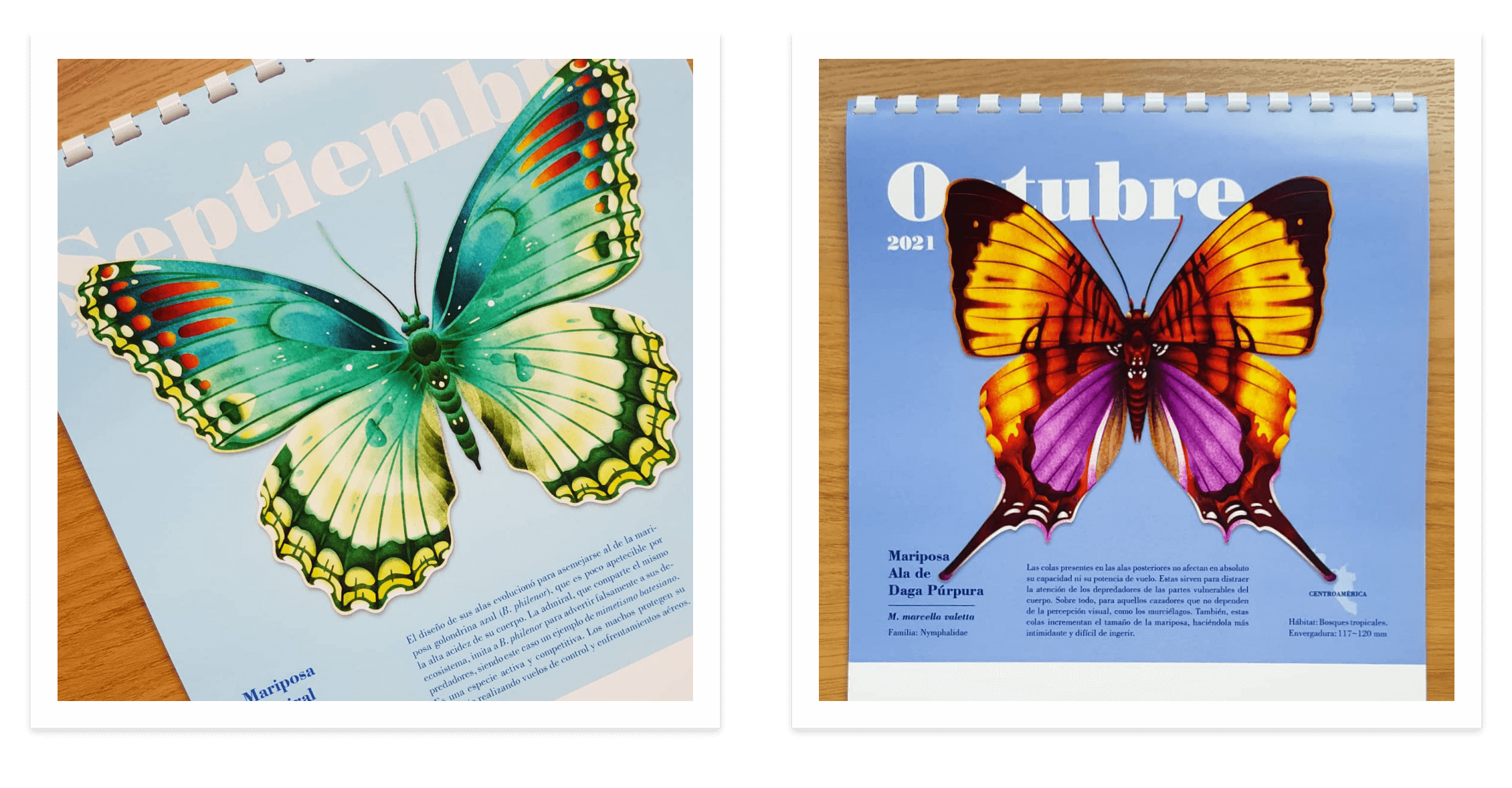 Butterfly Series