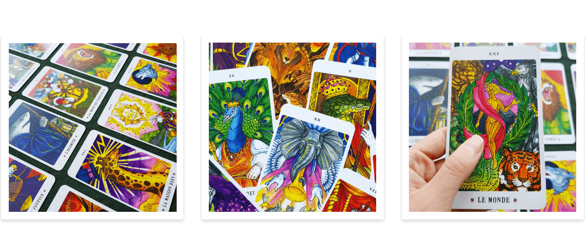 Major Arcana - Animaux Royaux Collection