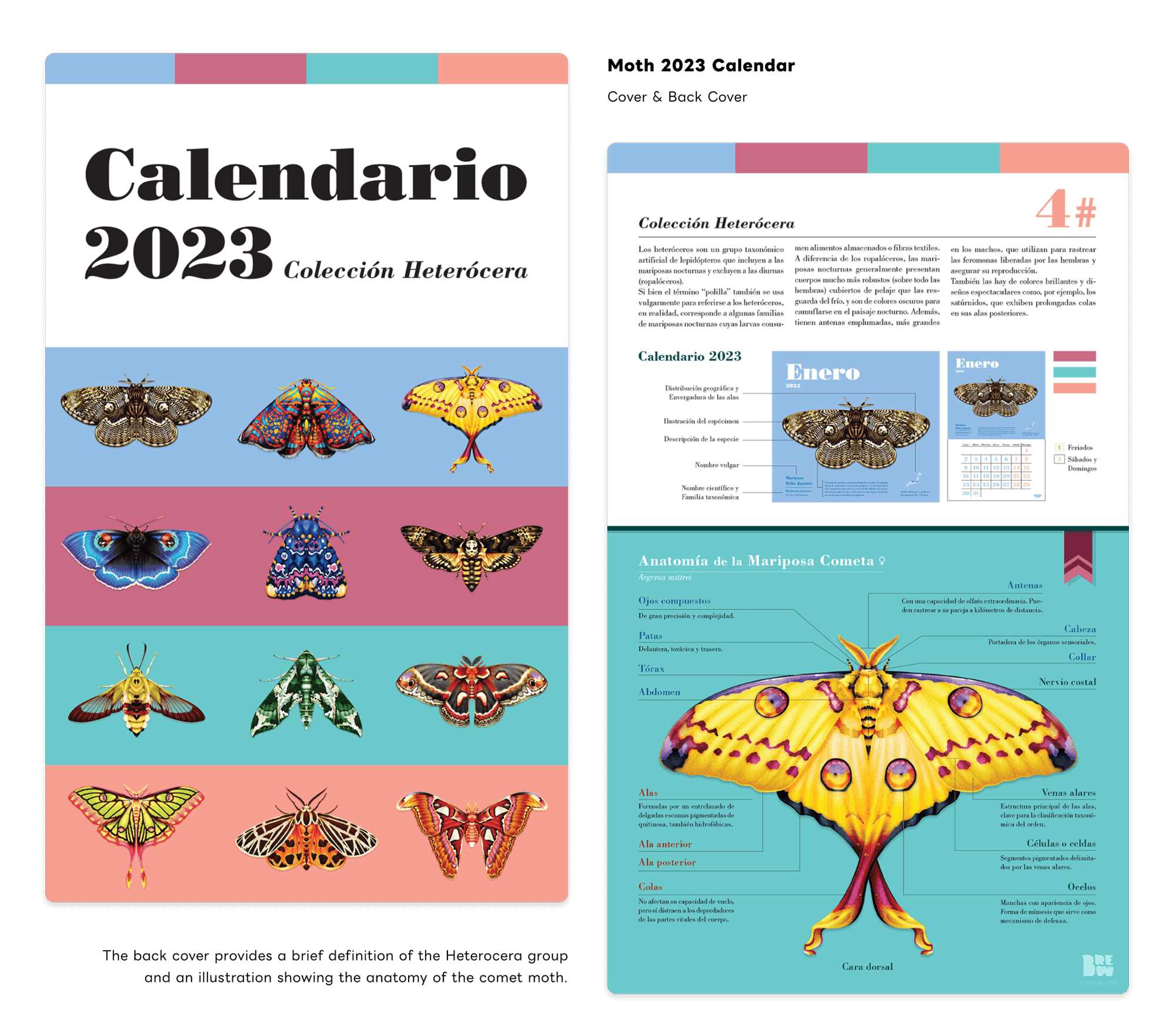 Moth Series