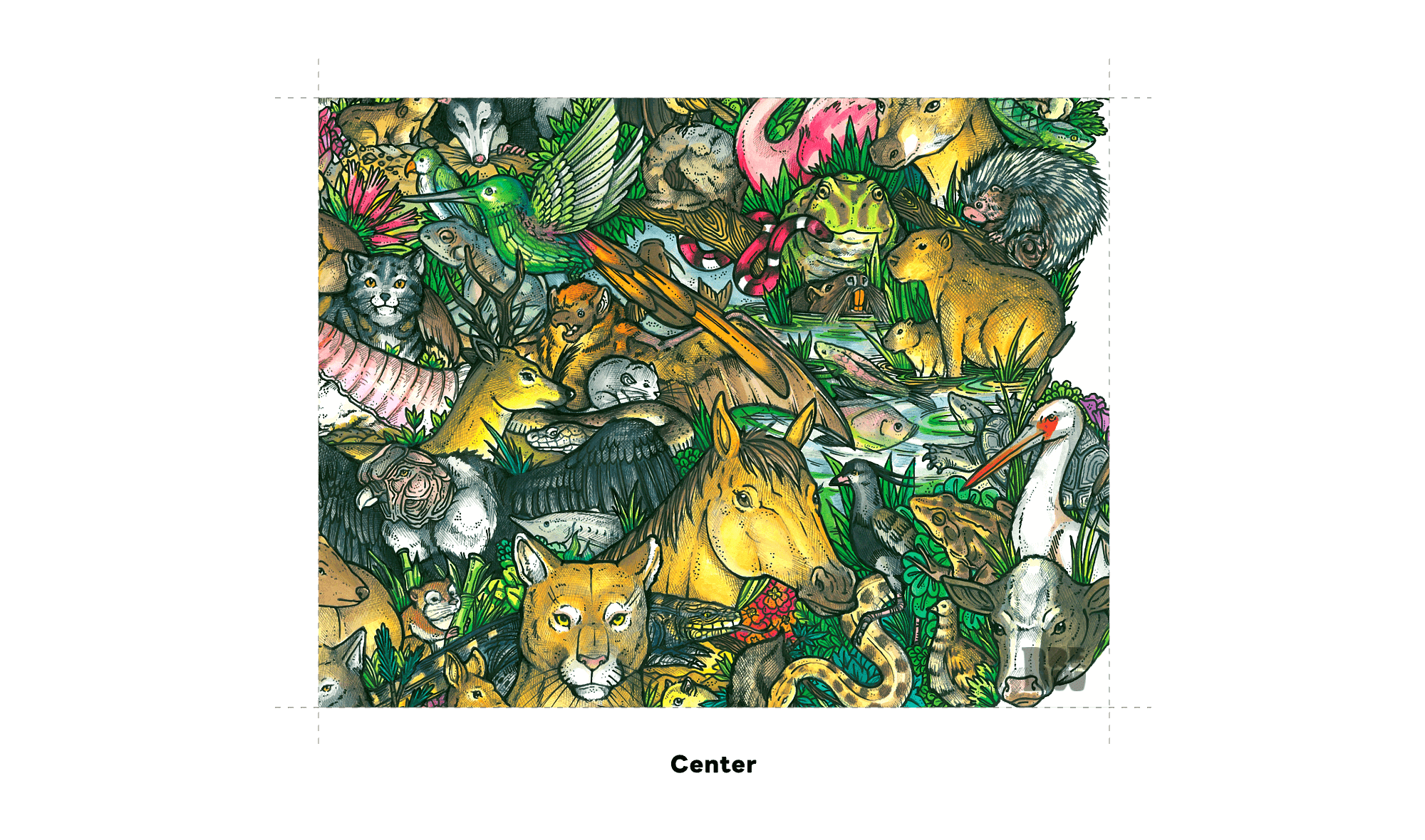 Argentina Animal Map