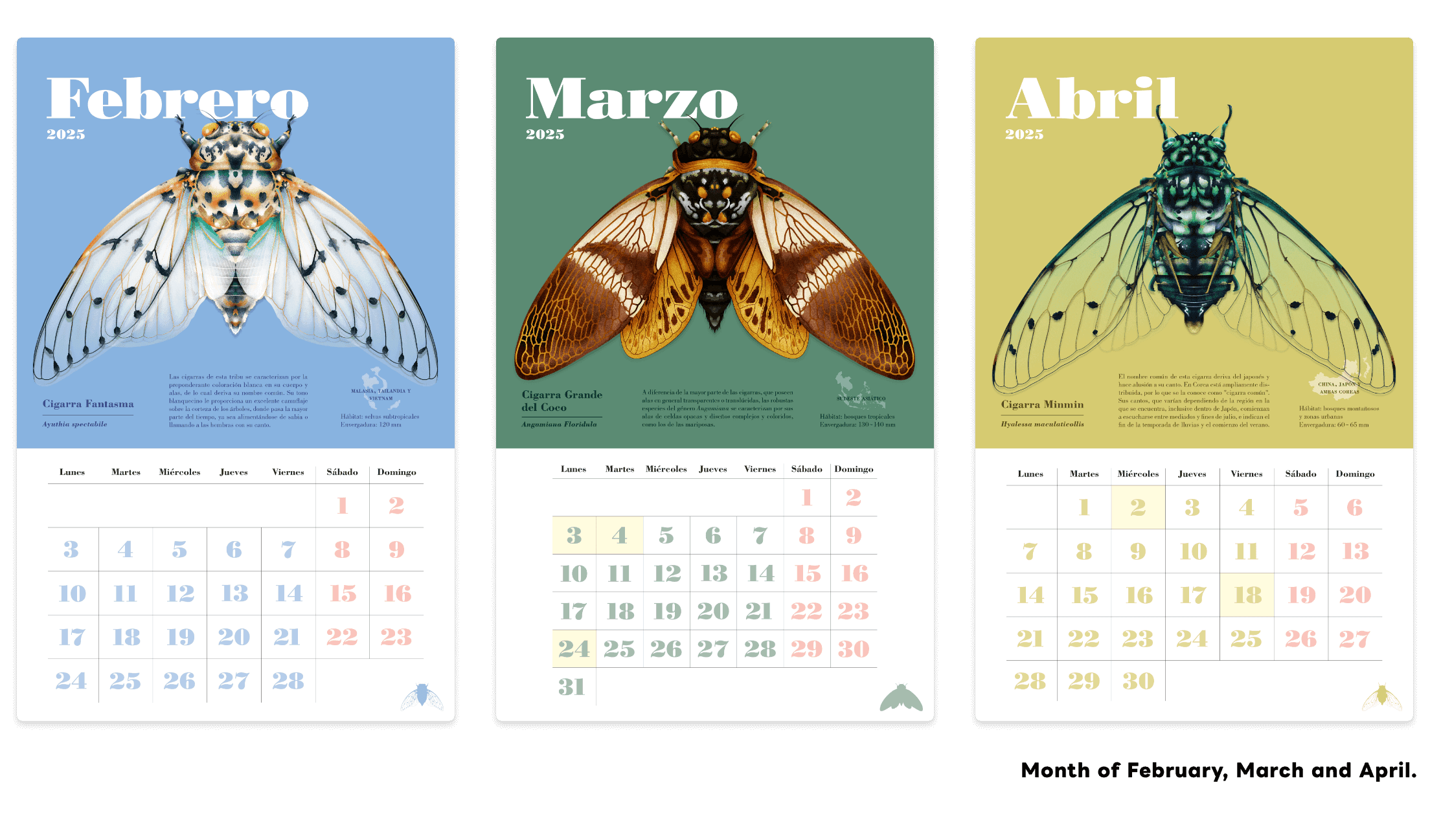 Cicadas Series