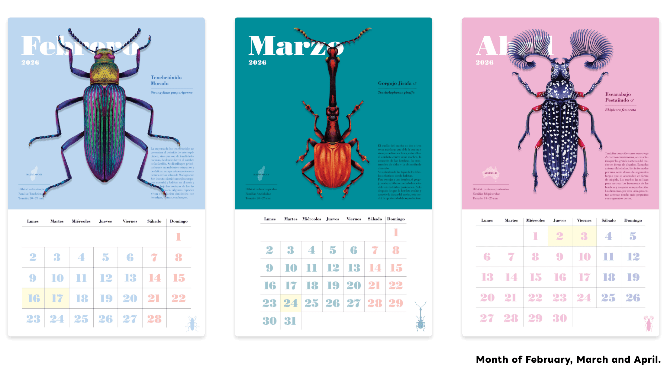 Beetle Series II