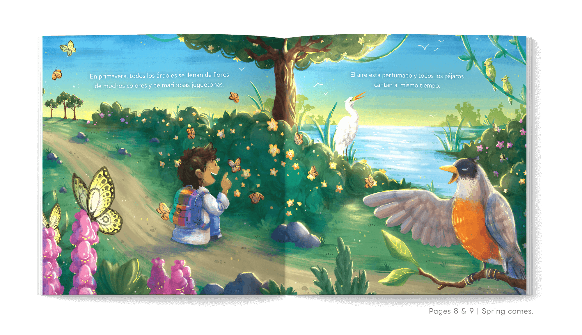 Nahuel Illustration Book