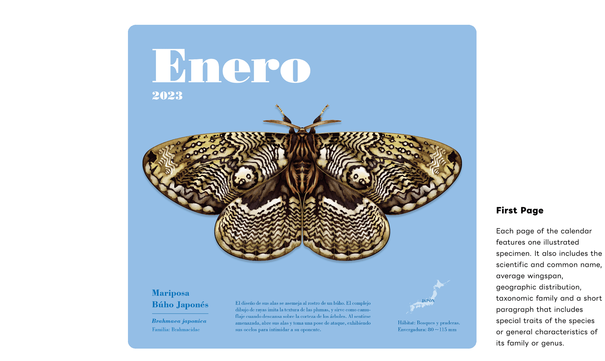 Moth Series